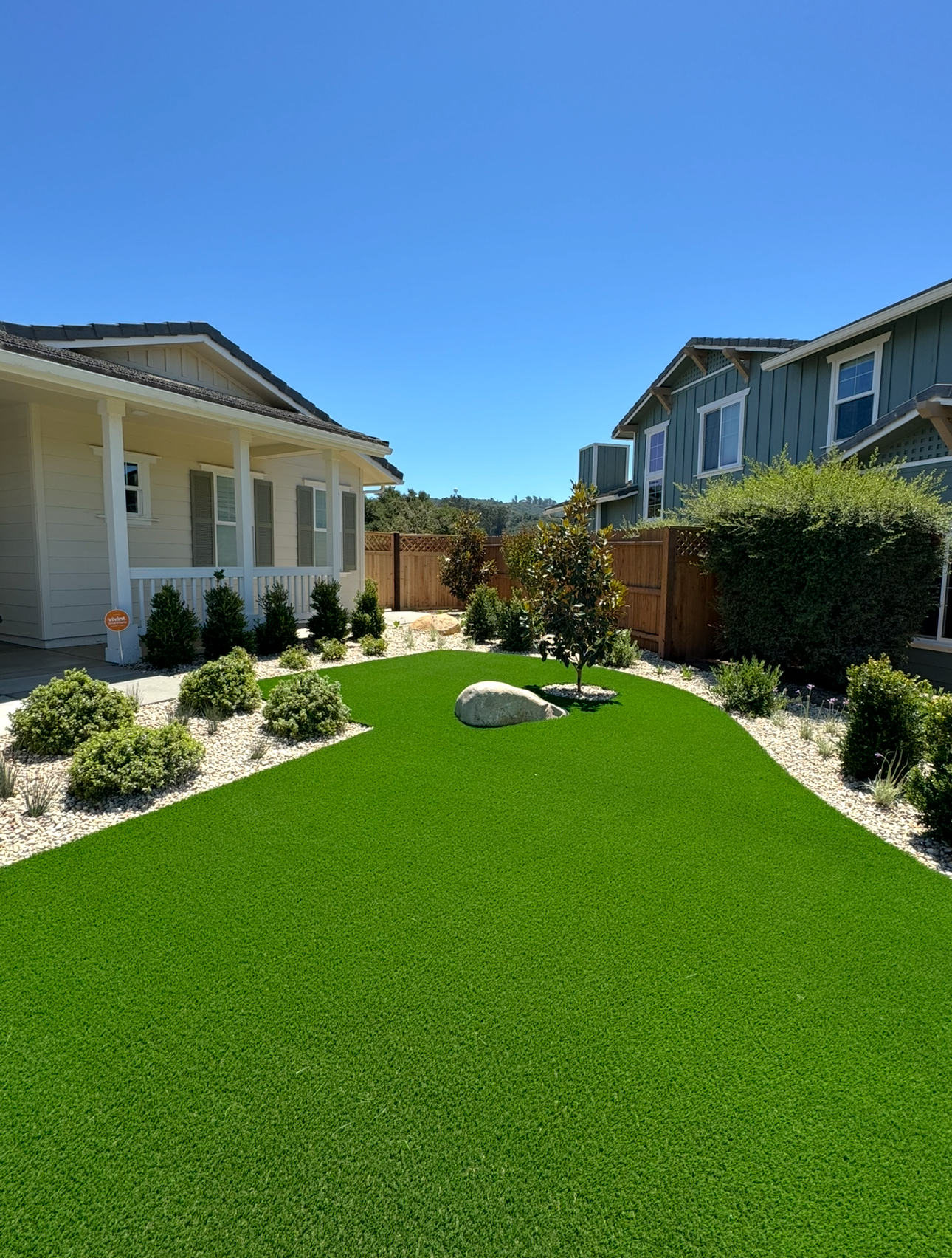 Fresh Turf Lawn
